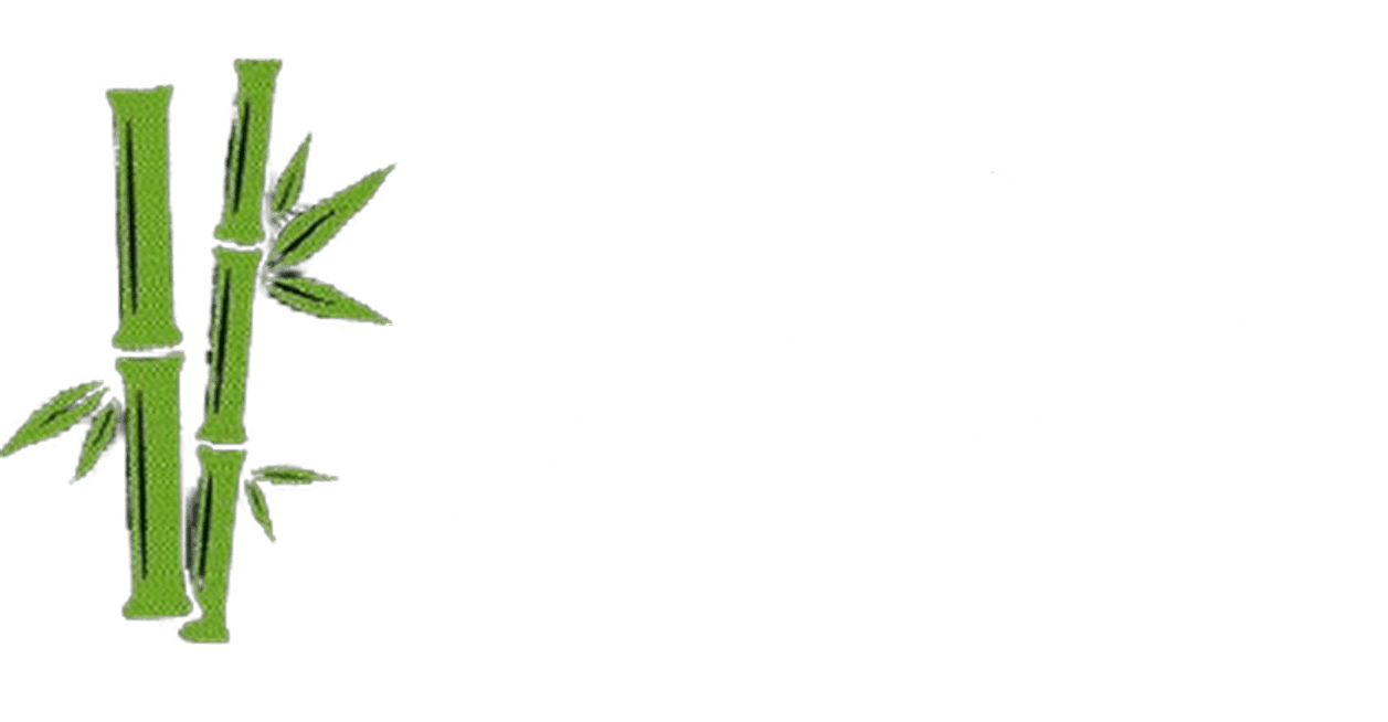 Bambou Coiffure Mobile logo